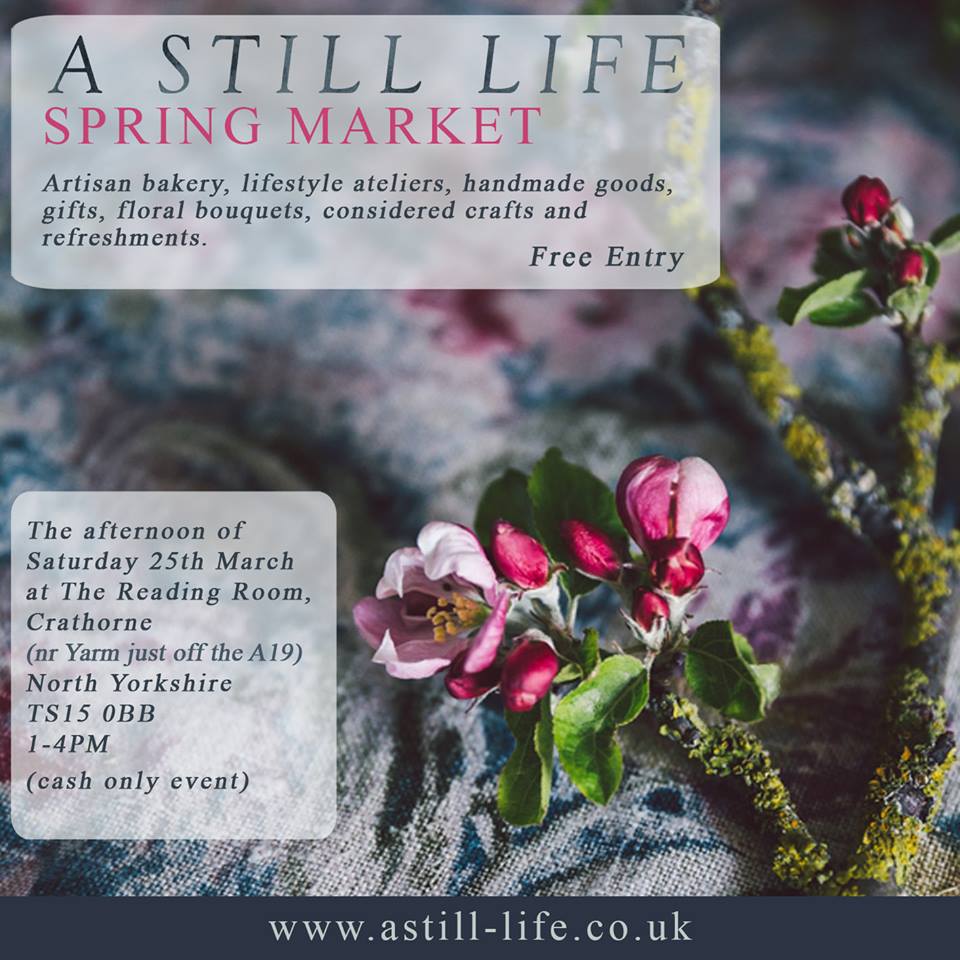 17309118_265573210555781_9104910598494041095_n